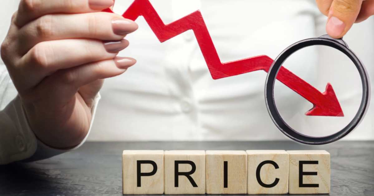 Economy Pricing Strategy